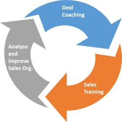 DEAL COACHING AND SALES SOLUTIONS